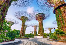 Who Actually Moves the Needle for Brands in Singapore?